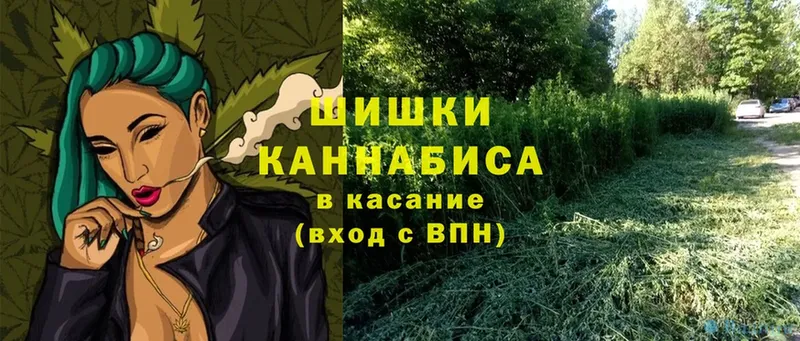 даркнет наркотические препараты  дарнет шоп  Волосово  Каннабис AK-47 